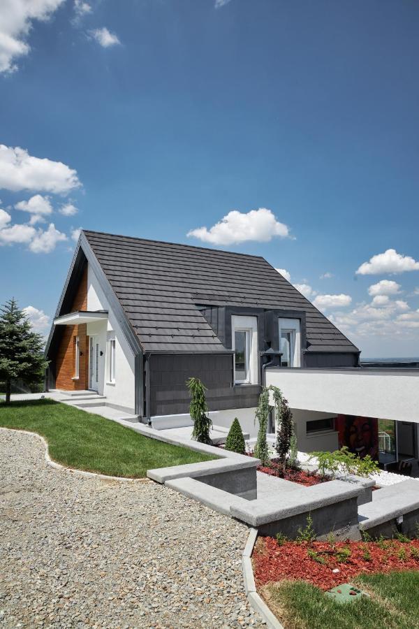Riverside Pool Villa-Сремски-Карловци Экстерьер фото